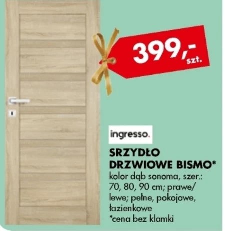 Skrzydło drzwiowe Ingresso