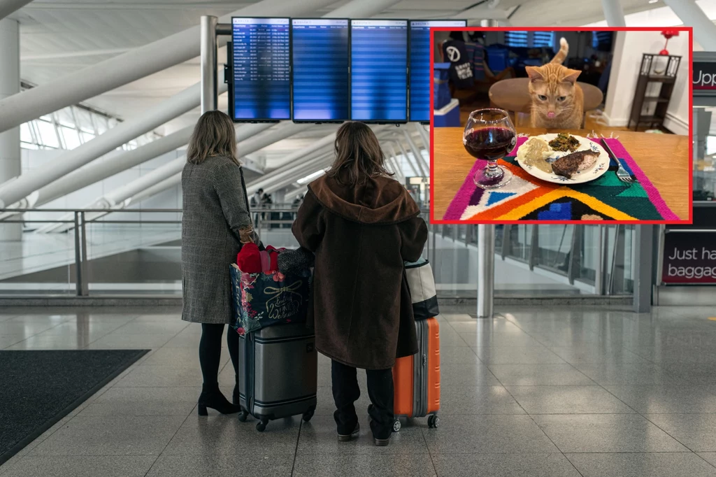 Kot Smells obchodził Święto Dziękczynienia w swoim domu na Brooklynie Kot Smells obchodził Święto Dziękczynienia w swoim domu na Brooklynie