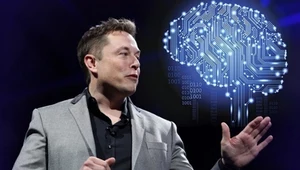 Elon Musk ogłosił, że wszczepi sobie implant mózgu