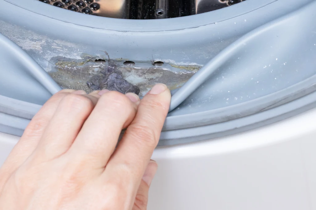 Czym skutecznie wyczyścić pralkę z pleśni?