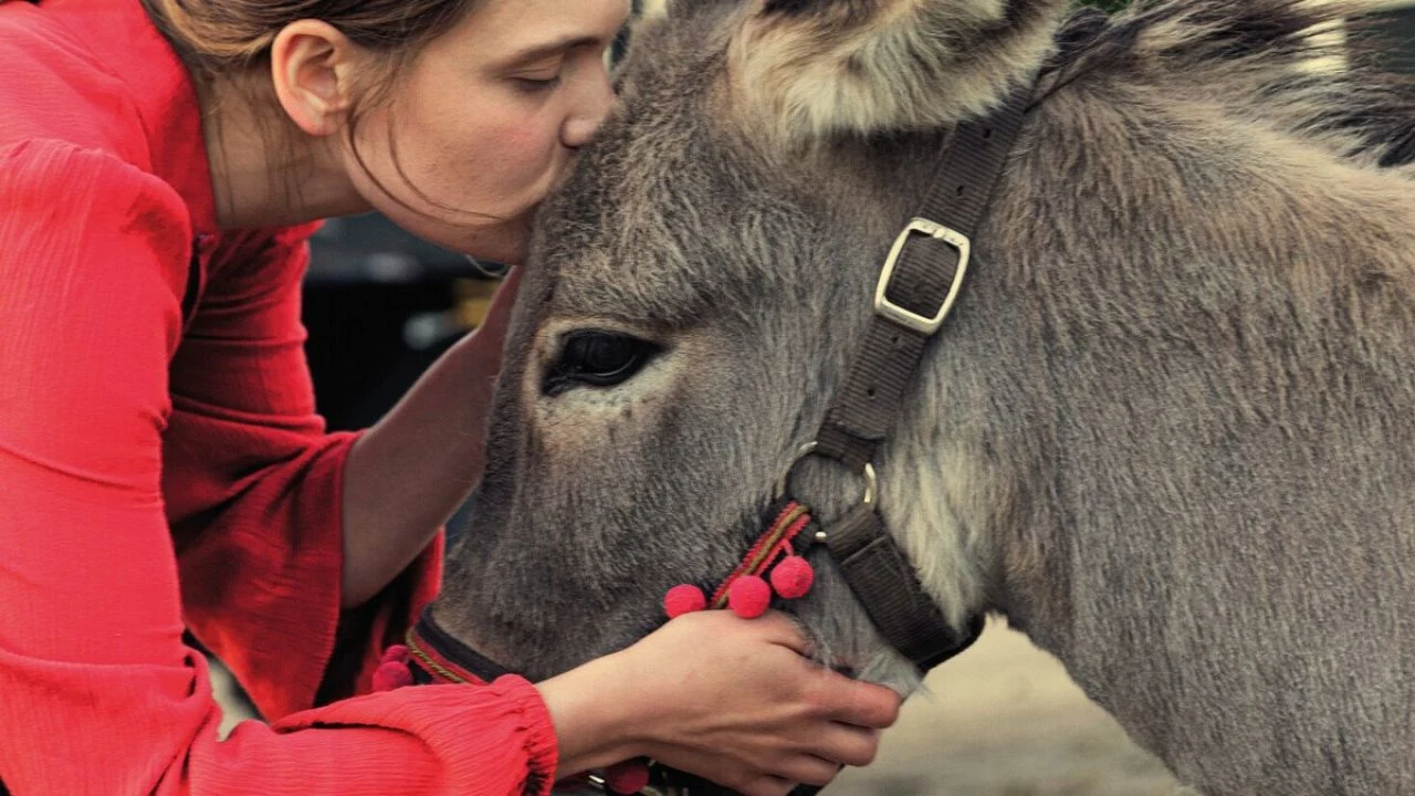 Sandra Drzymalska w scenie z "IO" Sandra Drzymalska w scenie z "IO"