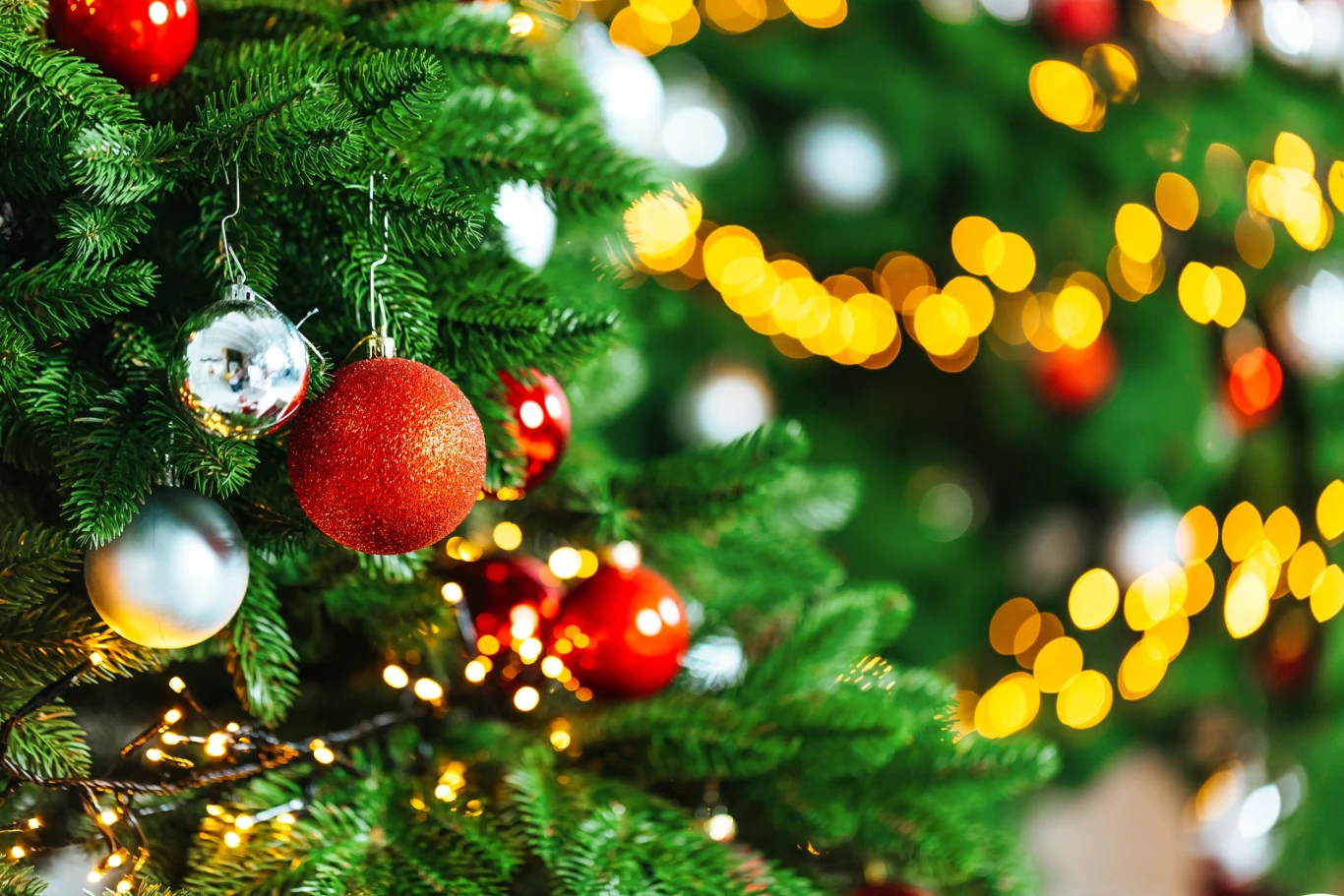 Kolędy i choinka to symbol świąt Bożego Narodzenia