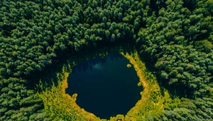 Zobacz zwycięzców konkursu Environmental Photographer of the Year. Te zdjęcia skłaniają do refleksji