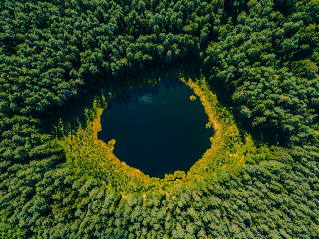 Wszędzie cię obserwuję - fotografia ukazuje niewielkie jezioro ukryte pośród drzew. Całość układa się w oko, które symbolizuje obserwującą nas naturę.