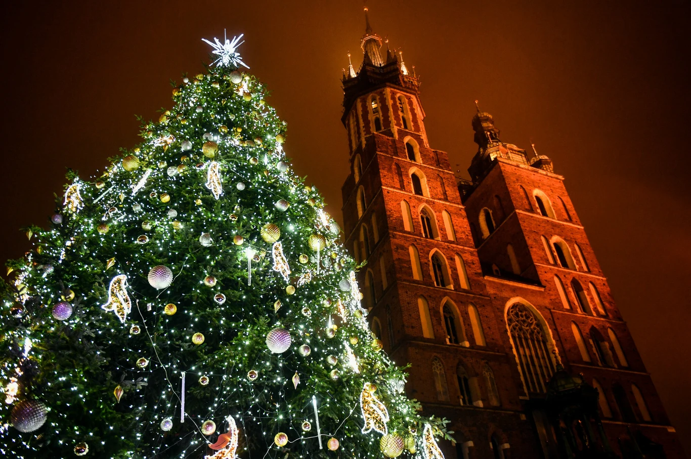 Energooszczędna choinka na krakowskim Rynku Głównym Energooszczędna choinka na krakowskim Rynku Głównym