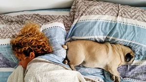 "Czy pies może na łoże?". Oto cała prawda o spaniu z psem