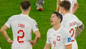 Nie miał litości dla Polaków. "Zejdźmy na ziemię, lodu na głowę"