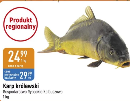 Karp Gospodarstwo Rybackie Kolbuszowa