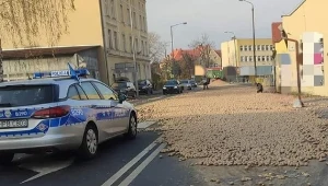 Na jezdnię rozsypało się 16 ton ziemniaków 