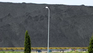 Czy Polska zrezygnuje z węgla przed 2049 rokiem? Kluczowe są OZE