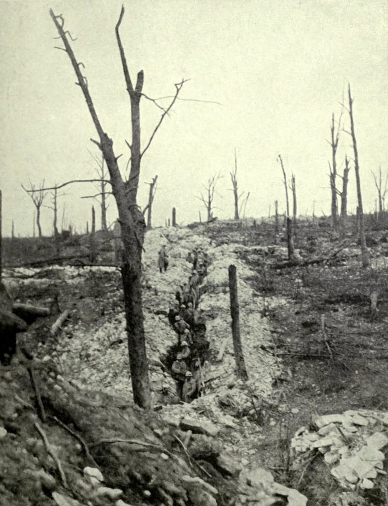 Fotografia pokazuje pole pod Verdun we Francji, gdzie doszło do jednej z największych bitew I-szej wojny światowej toczonej od 21 lutego do grudnia 1916 roku.