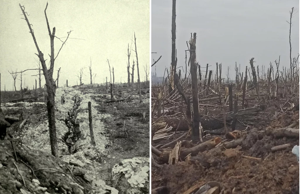 Verdun w 1916 i Bachmut w 2022 - szokujące podobieństwo zniszczeń spowodowanych przez ostrzał artyleryjski