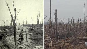 Verdun 1916 i Bachmut 2022. Zdjęcie z Ukrainy jak z I wojny światowej!