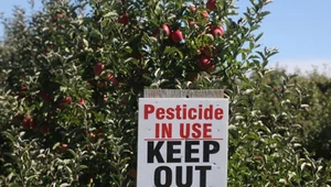 Rolnik zatruty pestycydami otrzyma odszkodowanie od koncernu Bayer