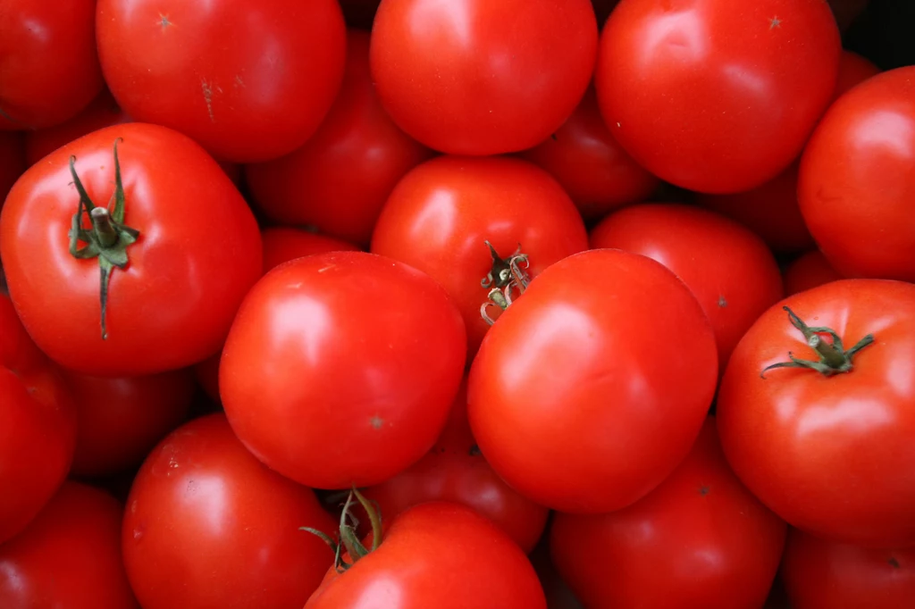 Pomidory na raka?