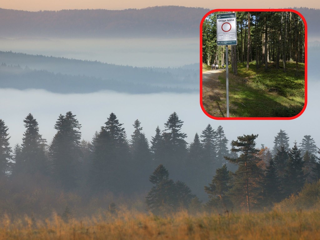 Na drodze do domu biologa z dnia na dzień pojawił się szlaban