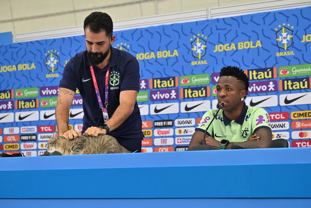 Rzecznik reprezentacji Brazylii usuwa kota. Mundial 2022 Rzecznik reprezentacji Brazylii usuwa kota. Mundial 2022