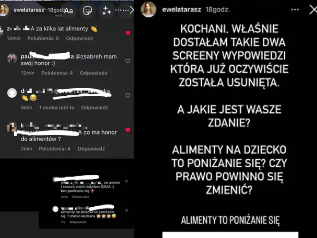 Paulina Nowicka o alimentach