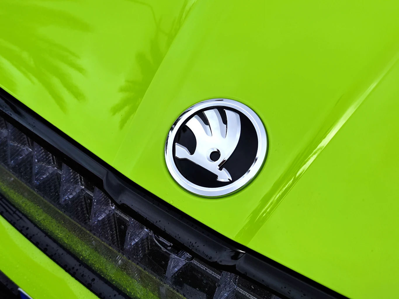 Skoda Enyaq RS iV 