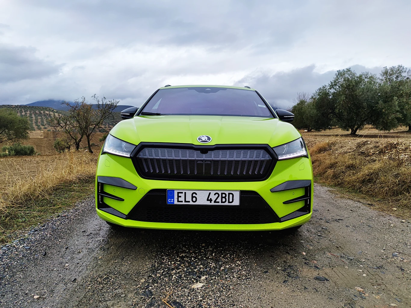 Skoda Enyaq RS iV 