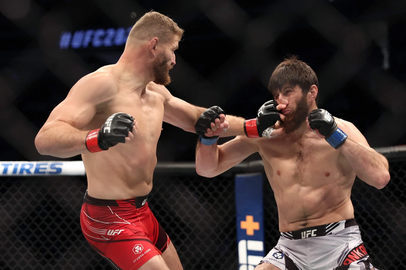 Błachowicz zalicza się do najmocniej bijących zawodników w UFC