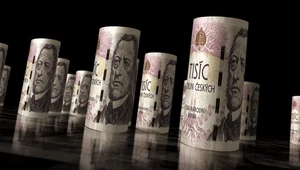 W Czechach podano odczyt inflacji konsumenckiej w listopadzie br.