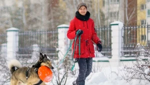 Zima z psem to nie bajka z Narnii. To codzienny survival