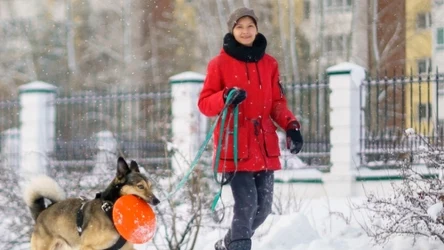 Wesołe hasanie w śniegu, czy szkoła przetrwania? Czym dla opiekunów psów jest zimowy spacer?