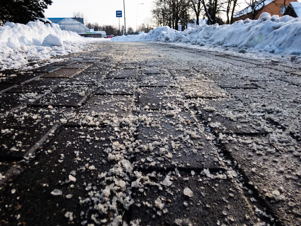 Podczas spaceru raczej nie zwracamy uwagi na posypany solą chodnik. A szkoda, bo to niewidzialne zagrożenie dla naszych pupili