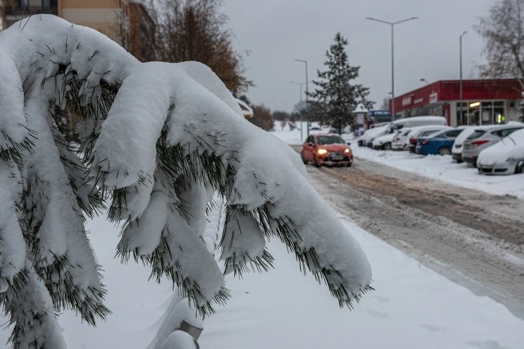 Noc z wtorku na środę będzie na północnym wschodzie mroźna, temperatura minimalna spadnie tam do poziomu od 11 do 6 kresek poniżej zera