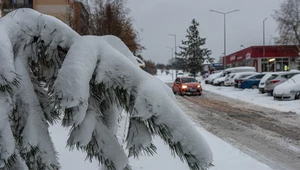 Uwaga na bardzo zimną noc. Nawet 11 kresek poniżej zera