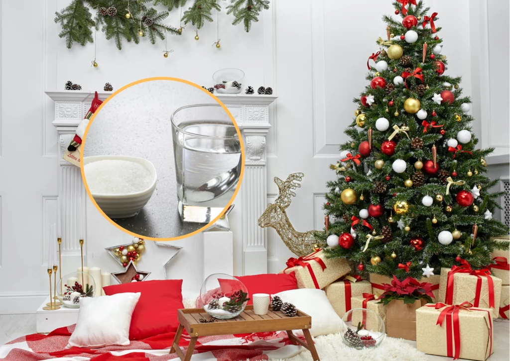 Jak dbać o choinkę w domu? Dzięki tym trikom świąteczne drzewko przetrwa dłużej