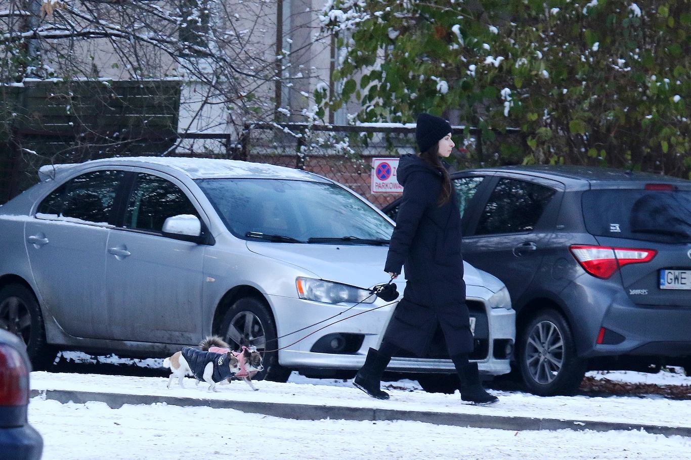 Marta Kaczyńska przyłapana na spacerze z pupilami Marta Kaczyńska przyłapana na spacerze z pupilami