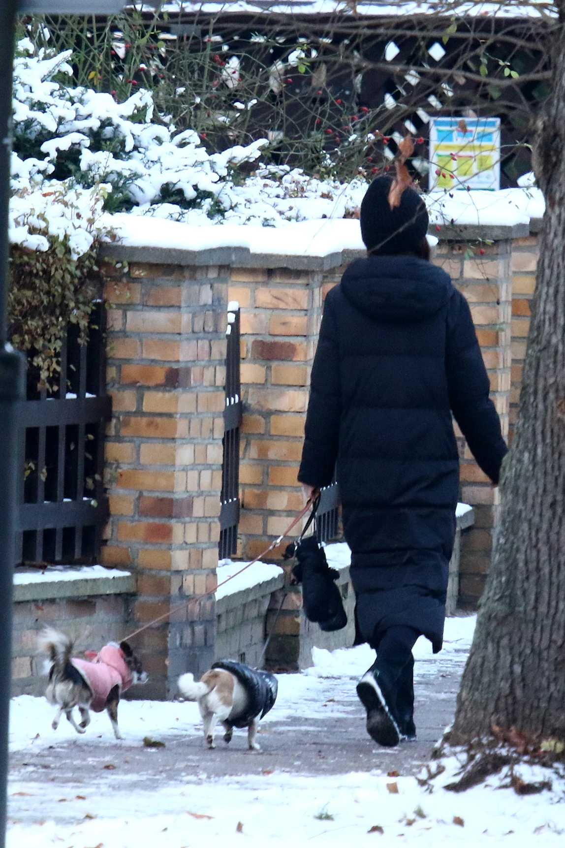 Marta Kaczyńska na spacerze z pupilami. Ładne mają ubranka? Marta Kaczyńska na spacerze z pupilami. Ładne mają ubranka?