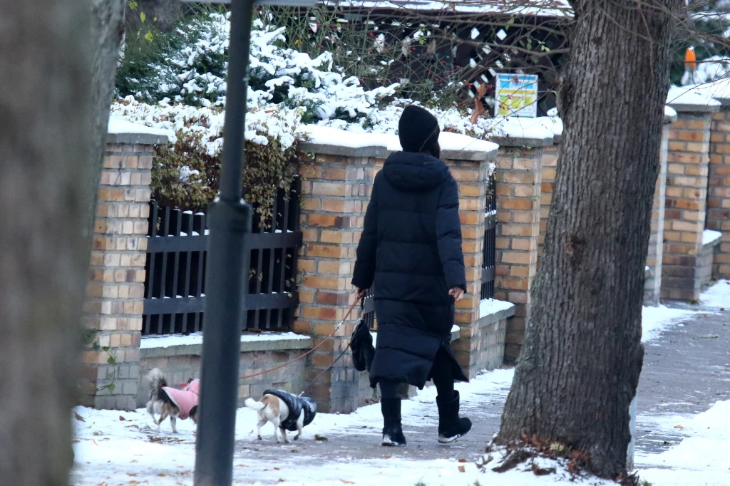 Marta Kaczyńska przyłapana na zimowym spacerze Marta Kaczyńska przyłapana na zimowym spacerze