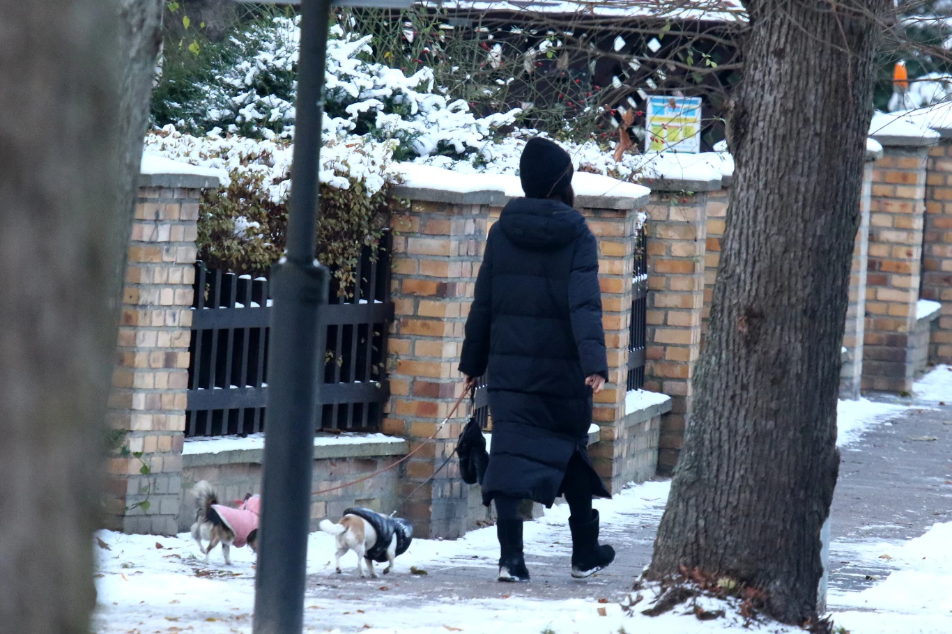 Marta Kaczyńska przyłapana na zimowym spacerze Marta Kaczyńska przyłapana na zimowym spacerze
