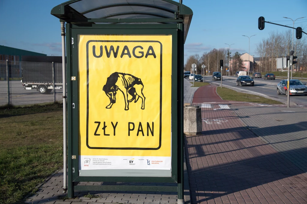 Kampania billboardowa w Polsce nawołująca o ochronę zwierząt