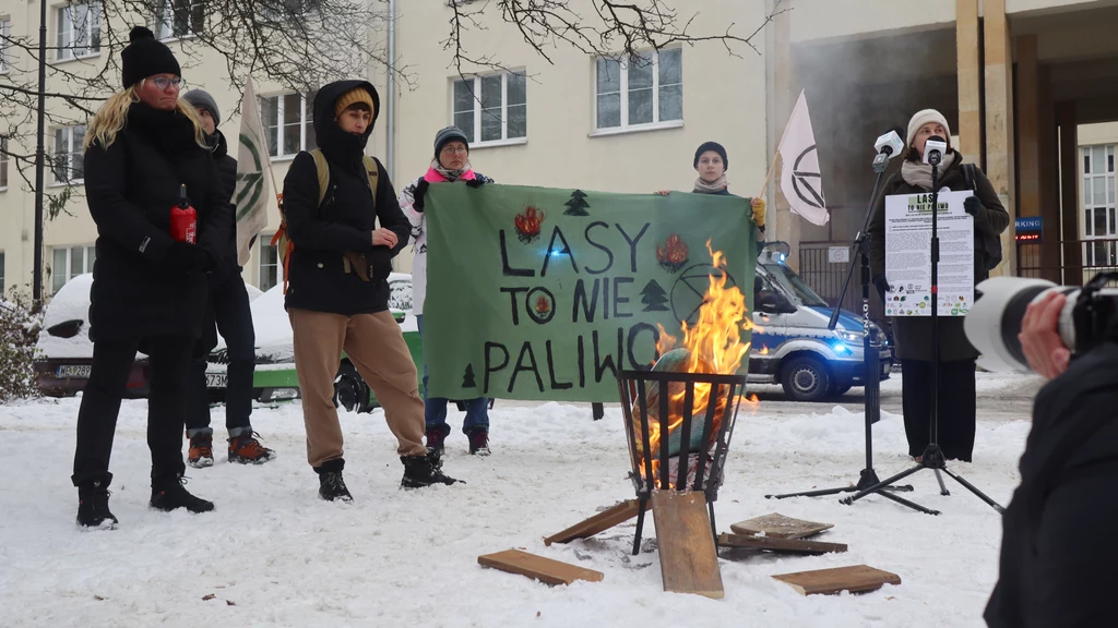 Aktywiści chcą odejścia od dopłat do spalania w elektrowniach pierwotnej biomasy drzewnej i zaprzestania traktowania pozyskanej w ten sposób energii jako energii odnawialnej