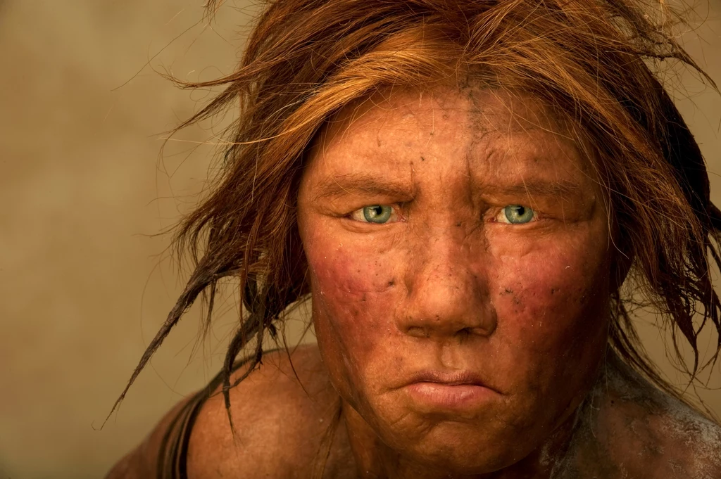 Analiza DNA Neandertalczyków pozwoliła odkryć nowe antybiotyki, które mogą pomóc nam ze współczesnymi chorobami
