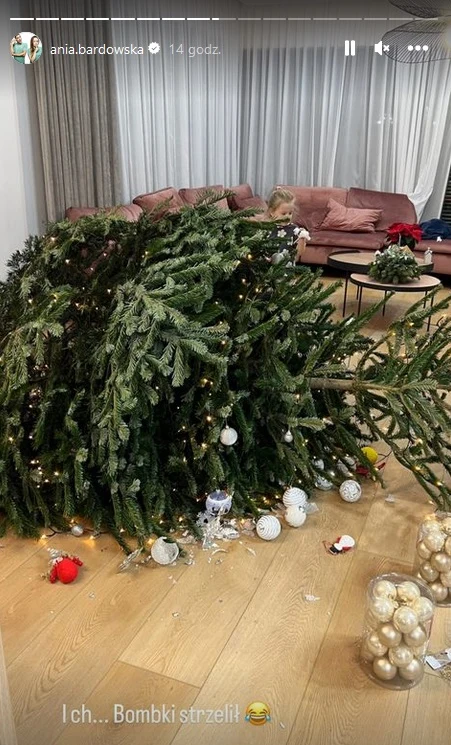 Kraksa z choinką w nowym domu Bardowskich Kraksa z choinką w nowym domu Bardowskich