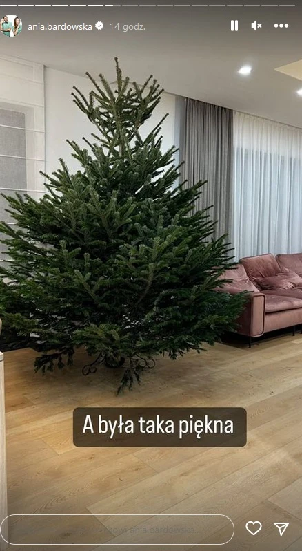 Tak wyglądała choinka pierwotnie Tak wyglądała choinka pierwotnie