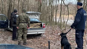 Pojechał po chrust do lasu i złapała go policja. To wolno zbierać, czy nie?