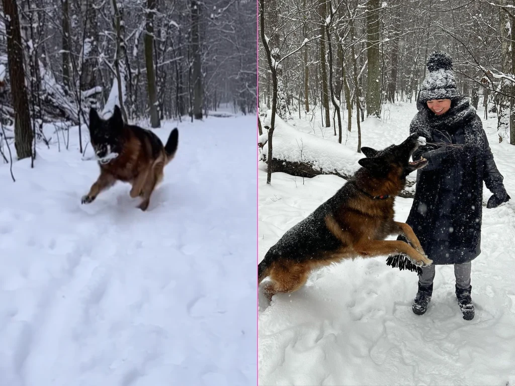 Cichopek i Kurzajewski pozdrawiają z lasu. Razem z Bono Cichopek i Kurzajewski pozdrawiają z lasu. Razem z Bono