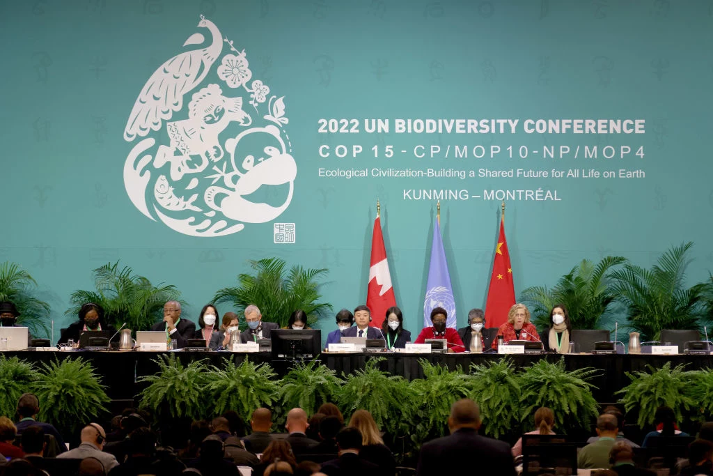 COP15 to szczyt poświęcony ochronie bioróżnorodności na świecie