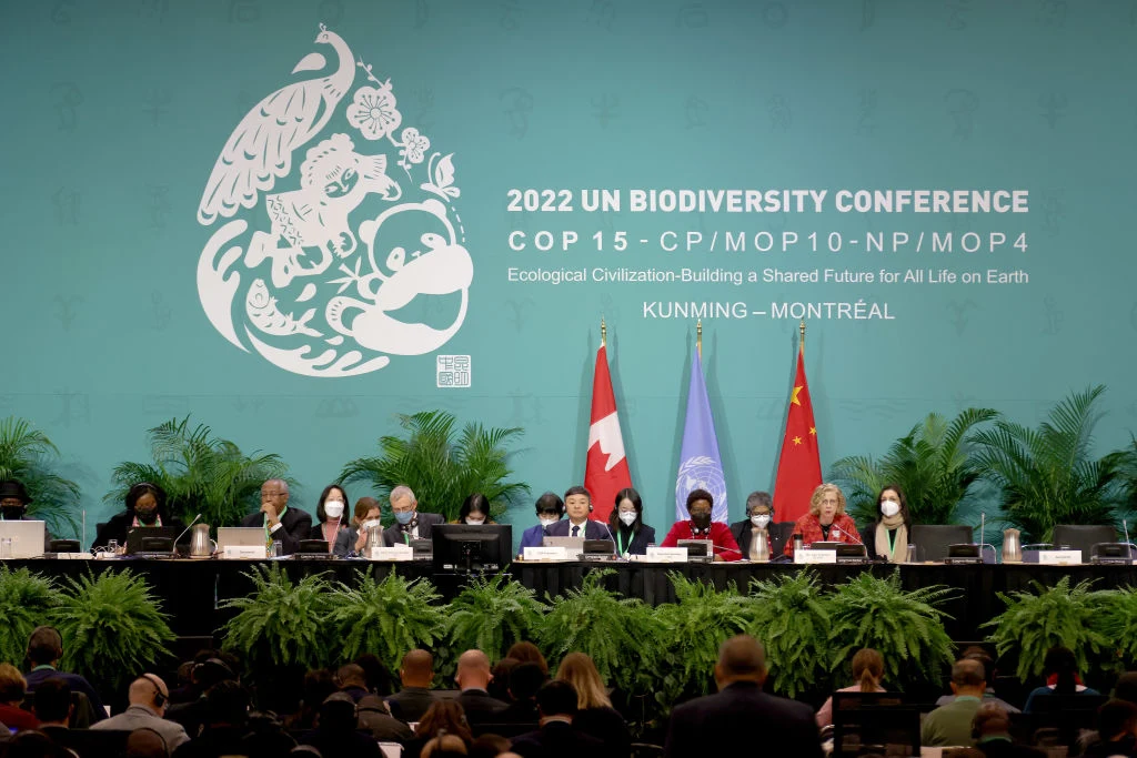 COP15 to szczyt poświęcony ochronie bioróżnorodności na świecie COP15 to szczyt poświęcony ochronie bioróżnorodności na świecie