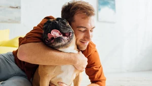 Płatny urlop na opiekę nad psem i kotem? Zbiórka podpisów pod petycją trwa
