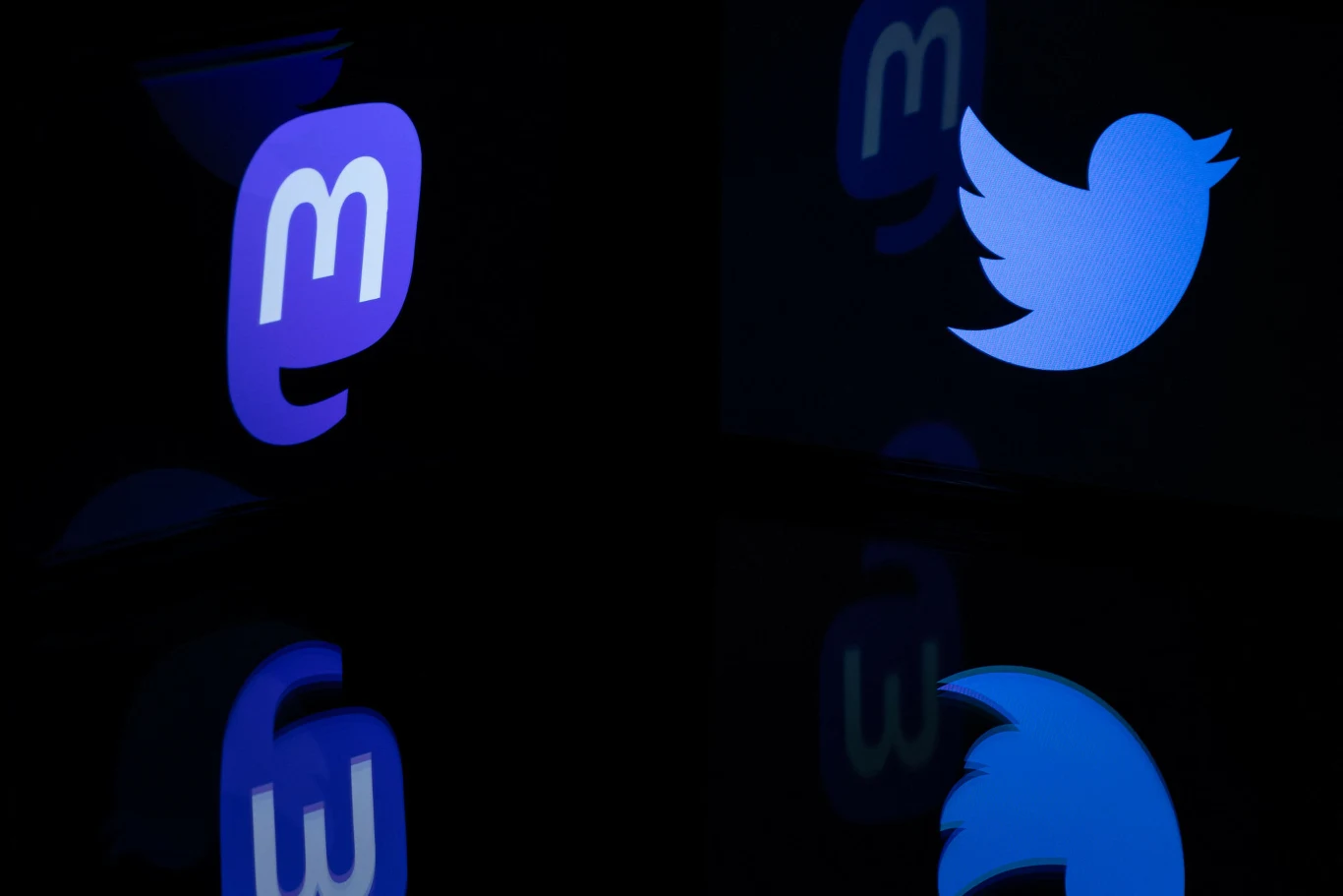 Mastodon zyskuje nowych użytkowników kosztem Twittera? Platforma Muska ma problemy! Mastodon zyskuje nowych użytkowników kosztem Twittera? Platforma Muska ma problemy!