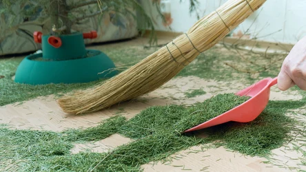 Obsypujące się igły z choinki możemy wykorzystać na wiele sposobów