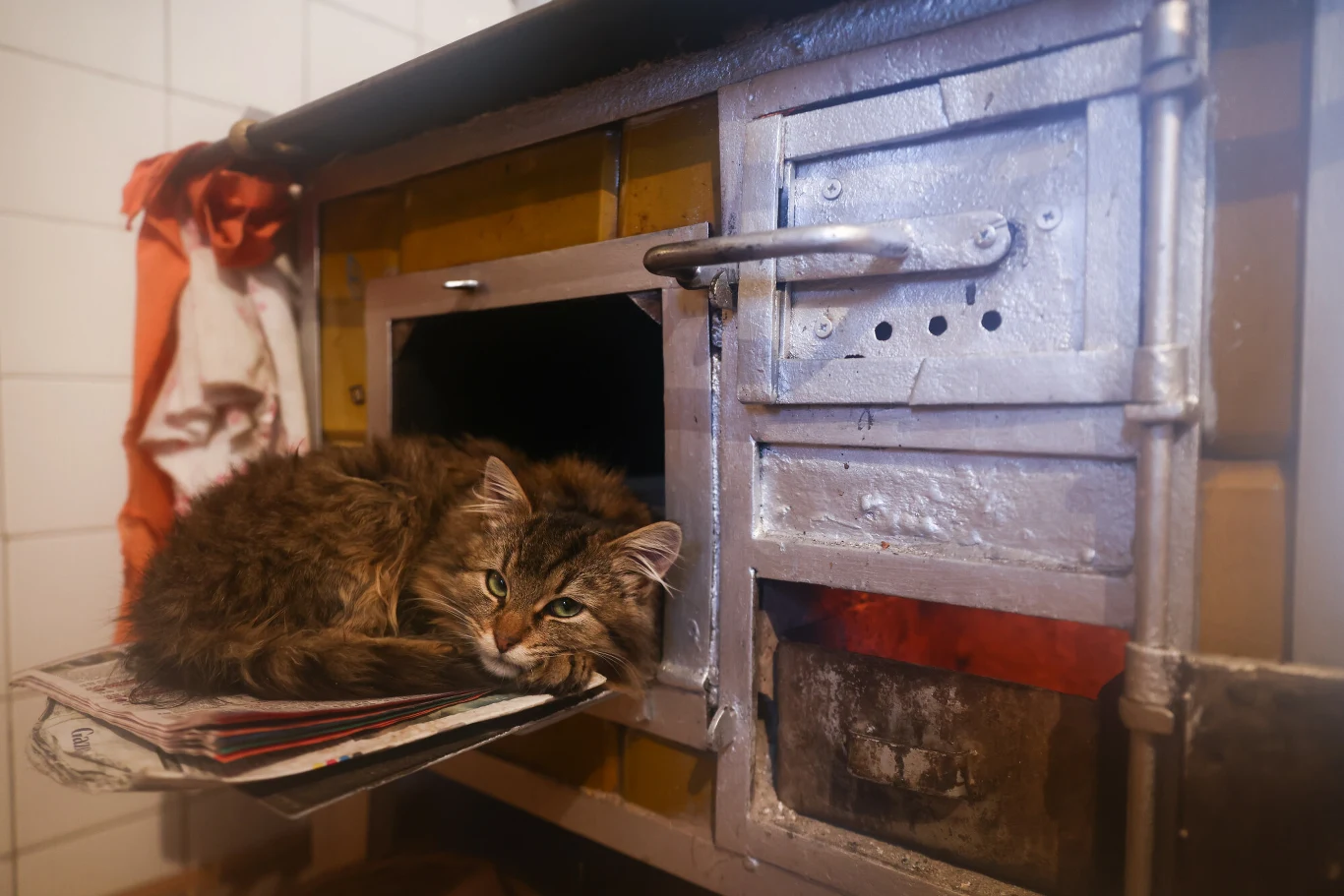 Nie wszyscy mają "za dużo"