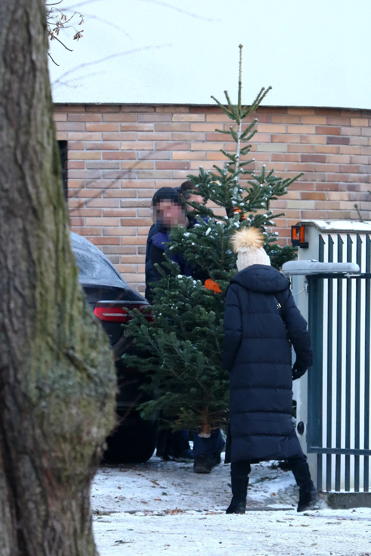 Marta Kaczyńska wybiera choinkę z synkiem i trzecim mężem, Piotrem Zielińskim 
